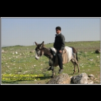 17439 04 050 Aphamea Syrien 2011.JPG